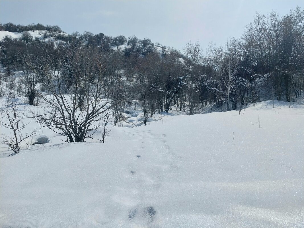 Ак Булак.  Талгар. - Murat Bukaev 