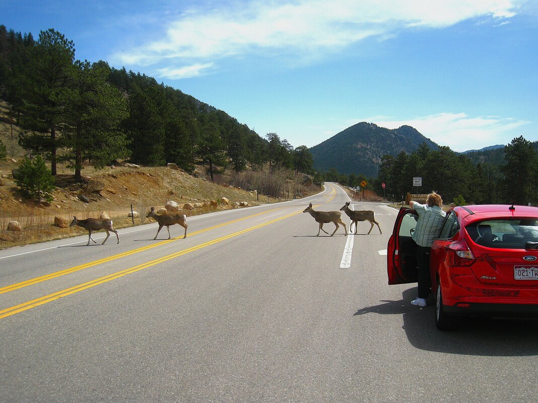 Переход дороги в неположенном месте - это административное правонарушение! - unix (Илья Утропов)