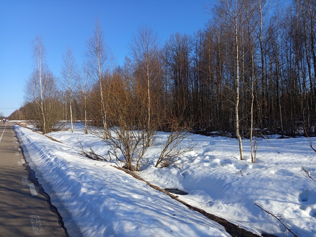 Март уходящий - Андрей Лукьянов Март уходящий - Андрей Лукьянов