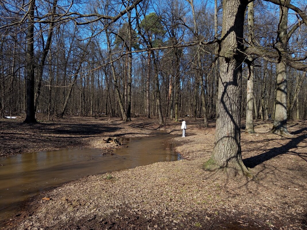 Март уходящий - Андрей Лукьянов Март уходящий - Андрей Лукьянов