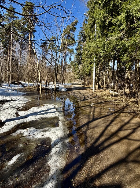 Мартовский денек. - Любовь Мартовский денек. - Любовь