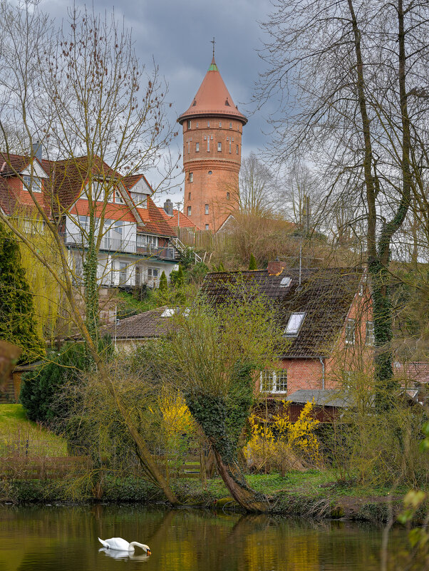 Белый лебедь на пруду - Вадим Вайс