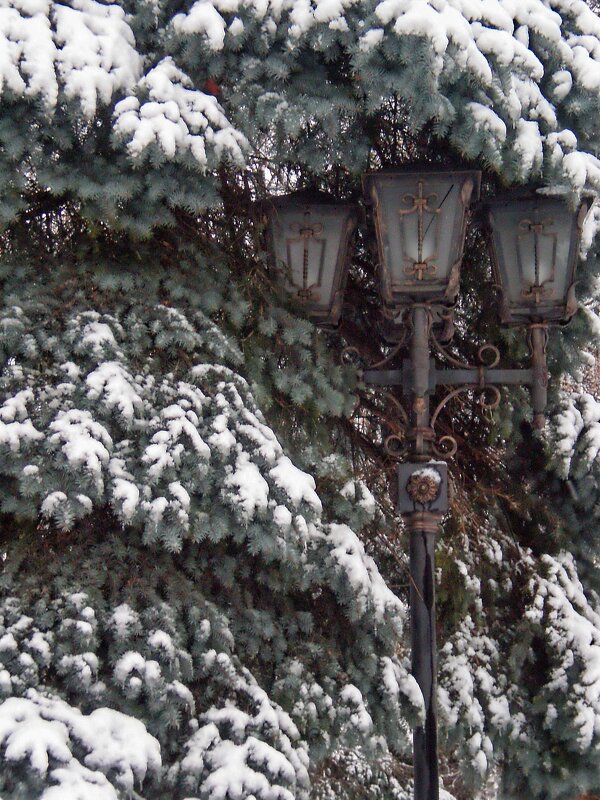 Фотозарисовки - Роман Савоцкий