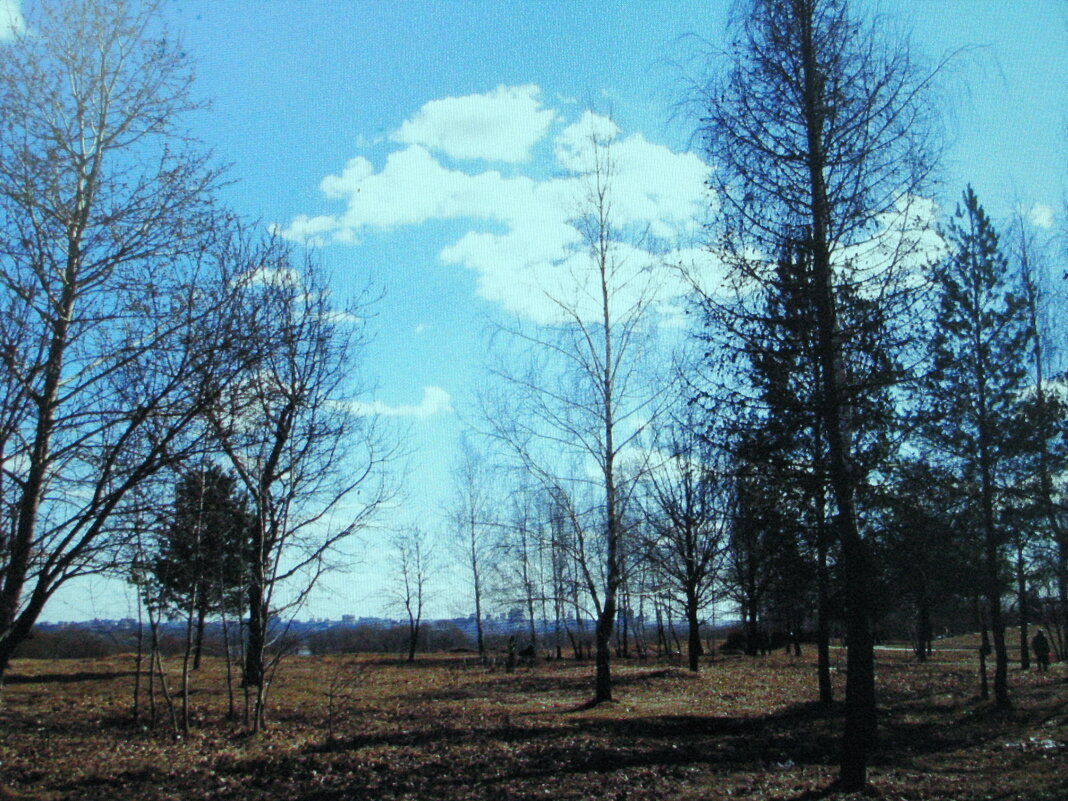 Красота марта - Людмила Смородинская Красота марта - Людмила Смородинская