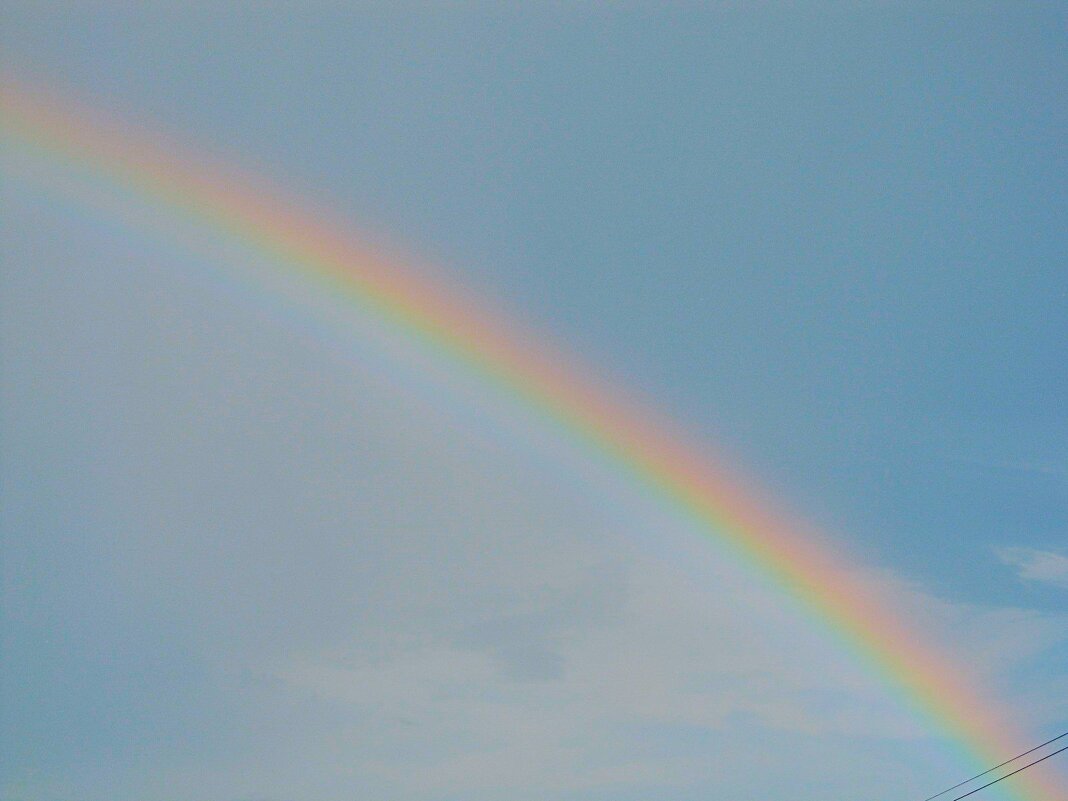 про лето ! - Елена Шаламова