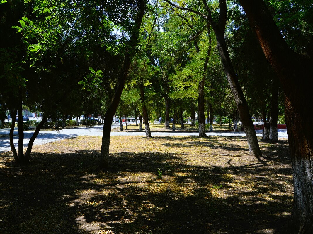 Керчь. Сквер Лётчиков летом. - Пётр Чернега