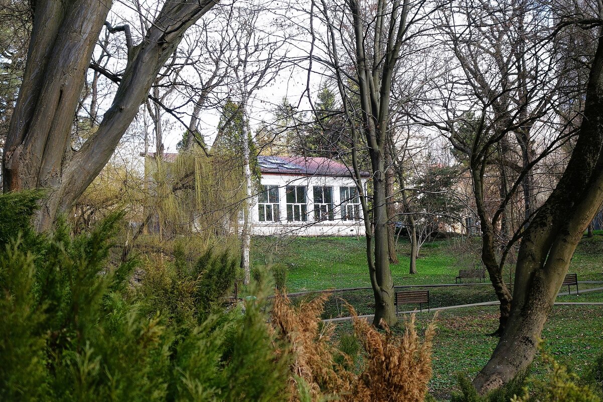 Март, ландшафтный парк, Калининград - Рита Симонова Март, ландшафтный парк, Калининград - Рита Симонова