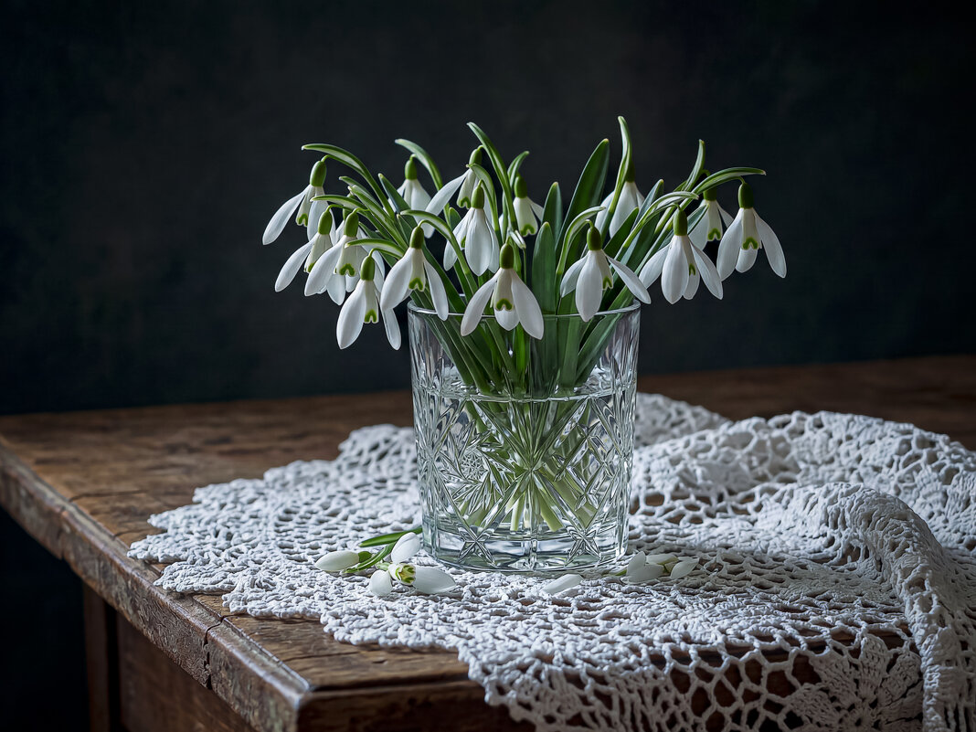 Подснежники - Aleksey Afonin Подснежники - Aleksey Afonin