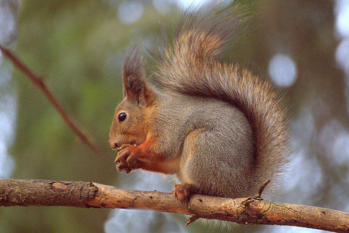 ... - Вячеслав Минаев