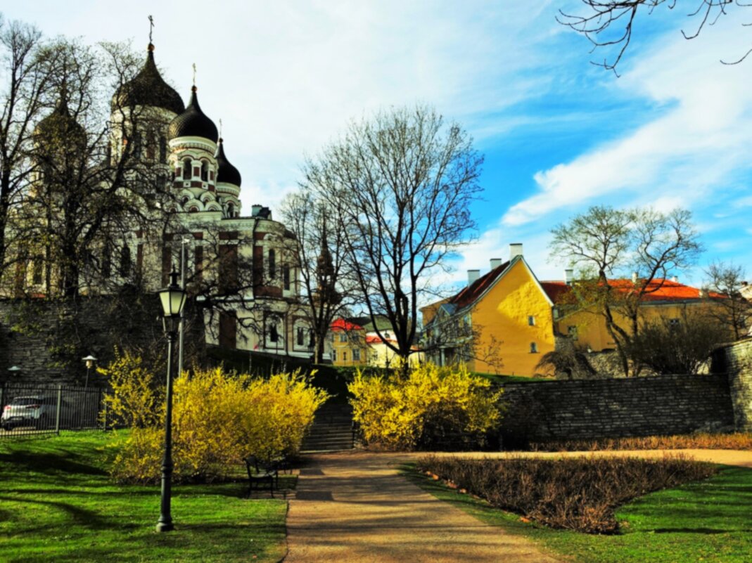 Весна на Тоомпеа - Aida10 