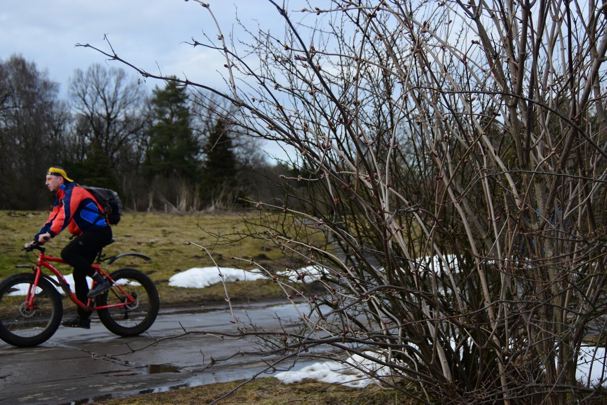 На спорте. - Наталья Вязигина