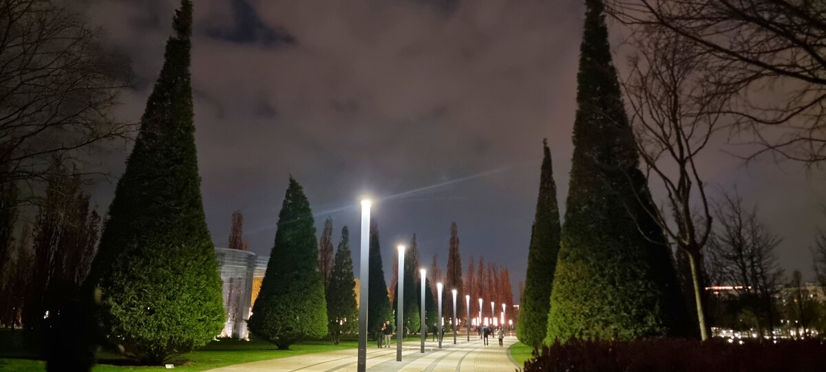 Ночью в парке - Екатерина Леш