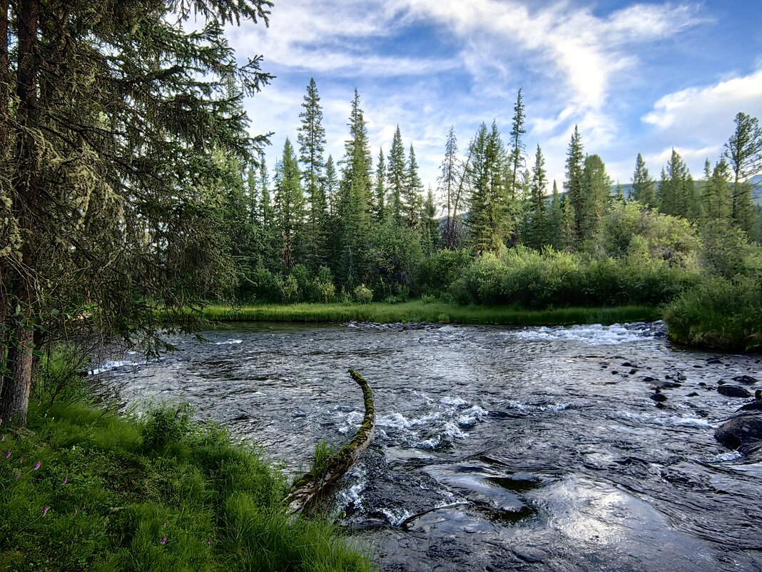Утро на реке Бара - Галина Козлова 