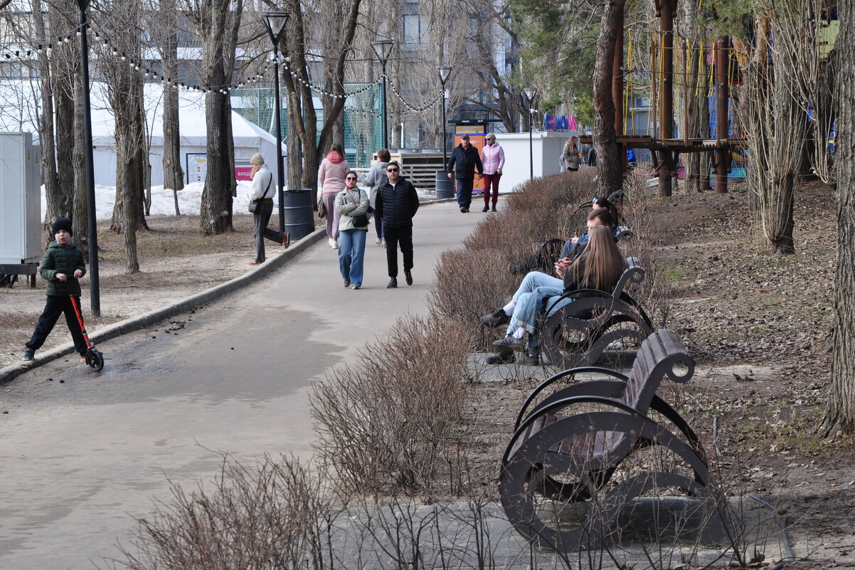 Прогулка в парке в марте - Татьяна Машошина Прогулка в парке в марте - Татьяна Машошина