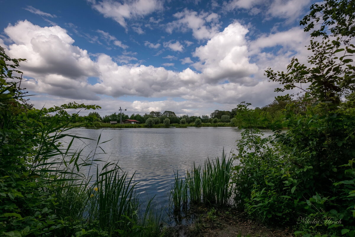 Облака над прудом... - Николай Гирш