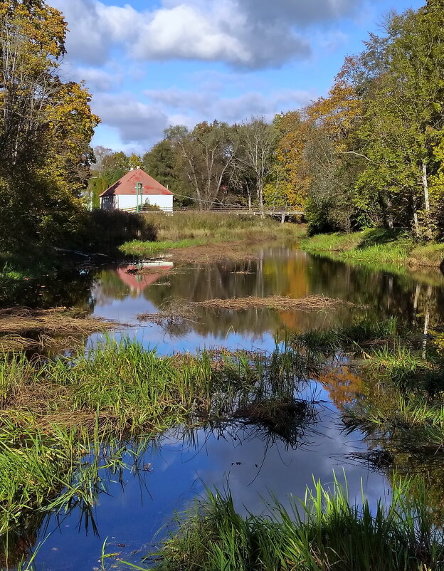 Осенний мотив .. - Татьян@ Ивановна