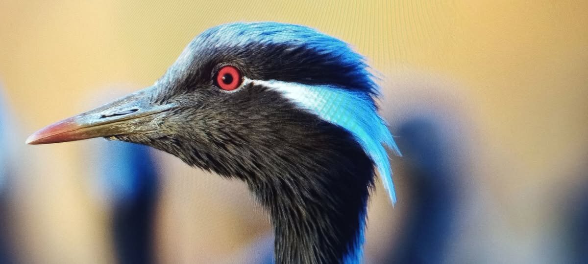 Моя красавица всем очень нравитца... - Валерий Кокорев