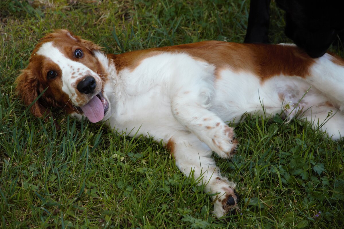 Вот что значит первый друг!!! - liudmila drake