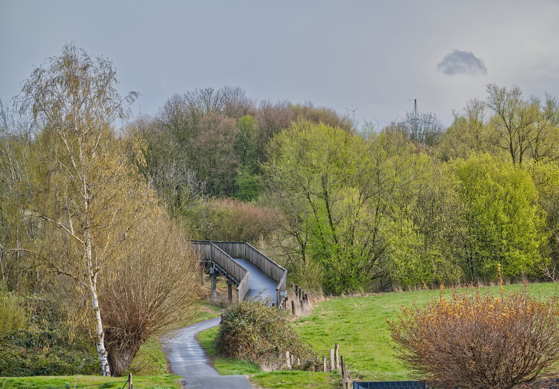 30.03.2026 Пасмурно и дождливо ... - Jakob Dick