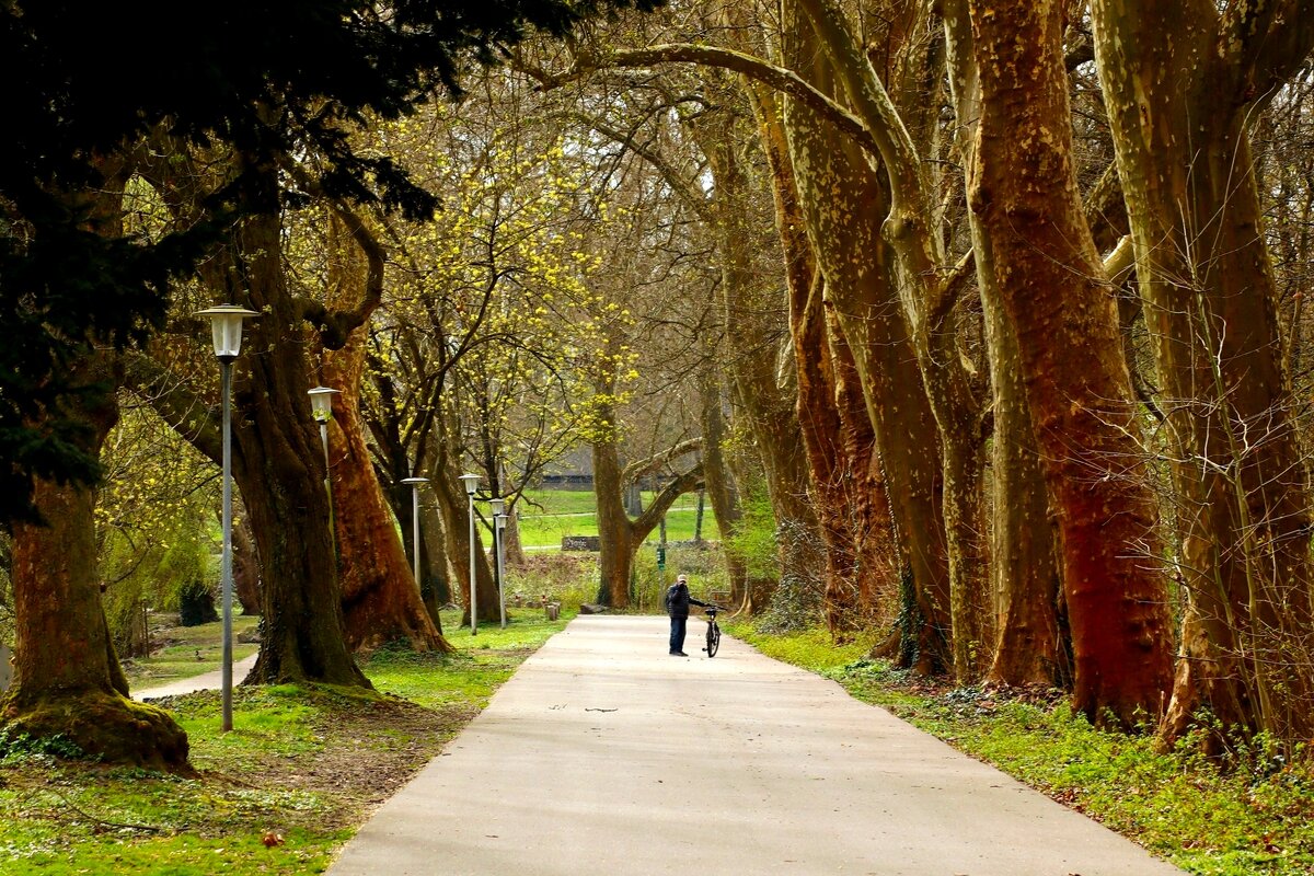 30 марта - Юрий. Шмаков