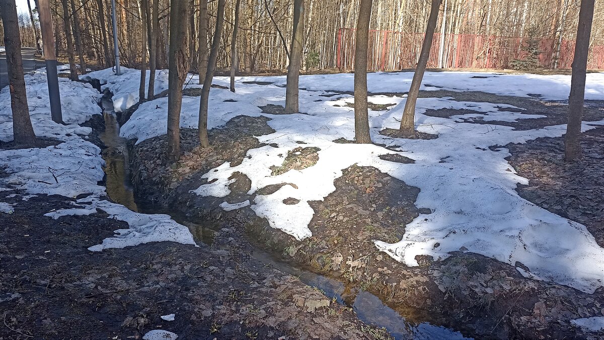 Таяние снегов - Татьяна Тюменка