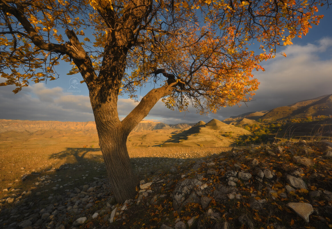 Осенний Дагестан - Анатолий Гордиенко