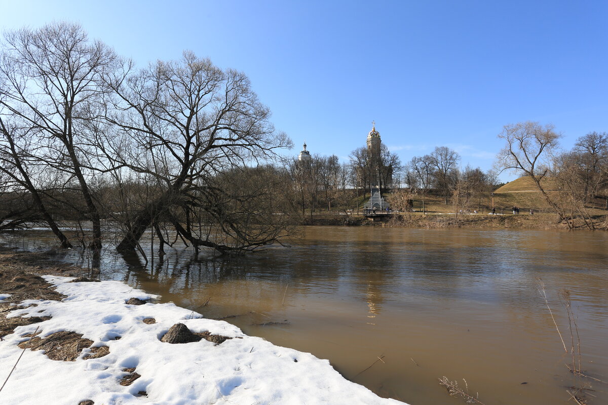 Дубровицы - Ninell Nikitina