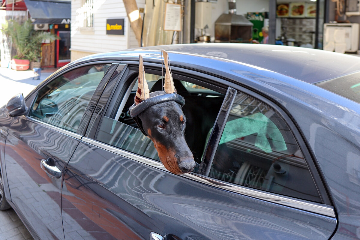 Стамбул - skijumper Иванов