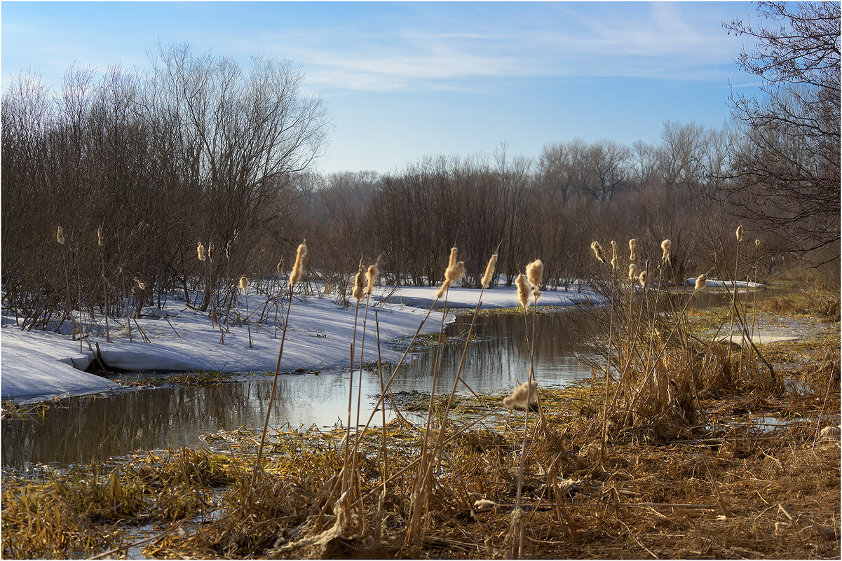 Весенний этюд - Валентин Котляров