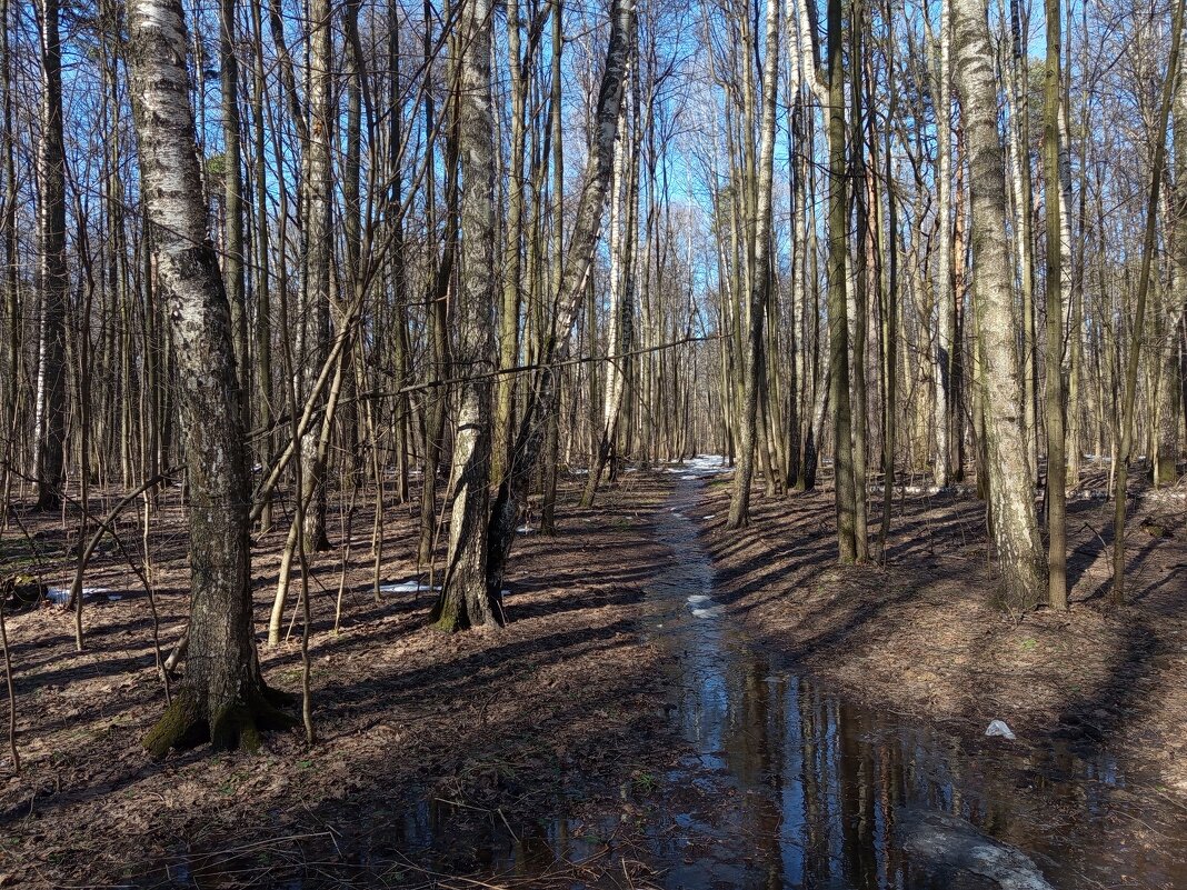 Хорош был март! - Андрей Лукьянов