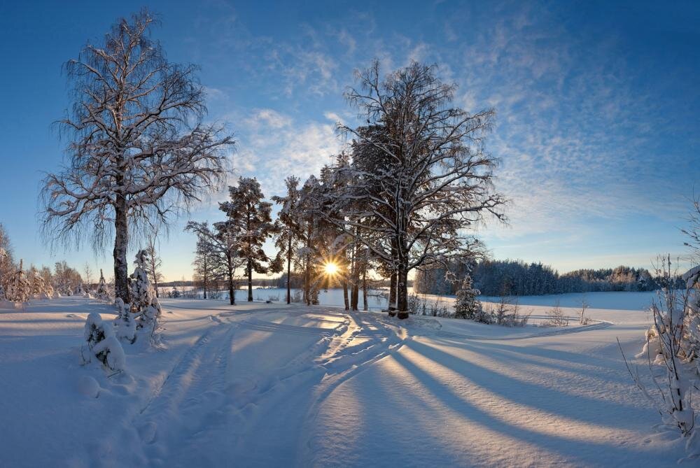 Мороз и солнце - Crazy Bee