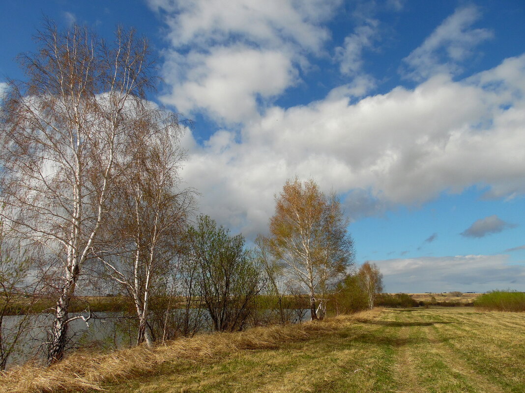 Таким бывает месяц май. - nadyasilyuk Вознюк Таким бывает месяц май. - nadyasilyuk Вознюк