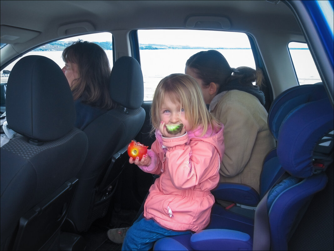 Пикник на обочине - **** vedin