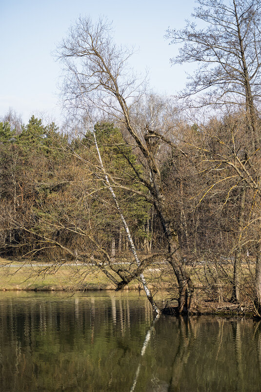 У водоёма - Michel 