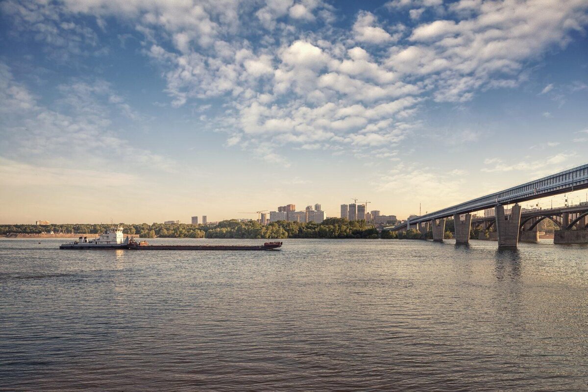 *** - Елена Черненко