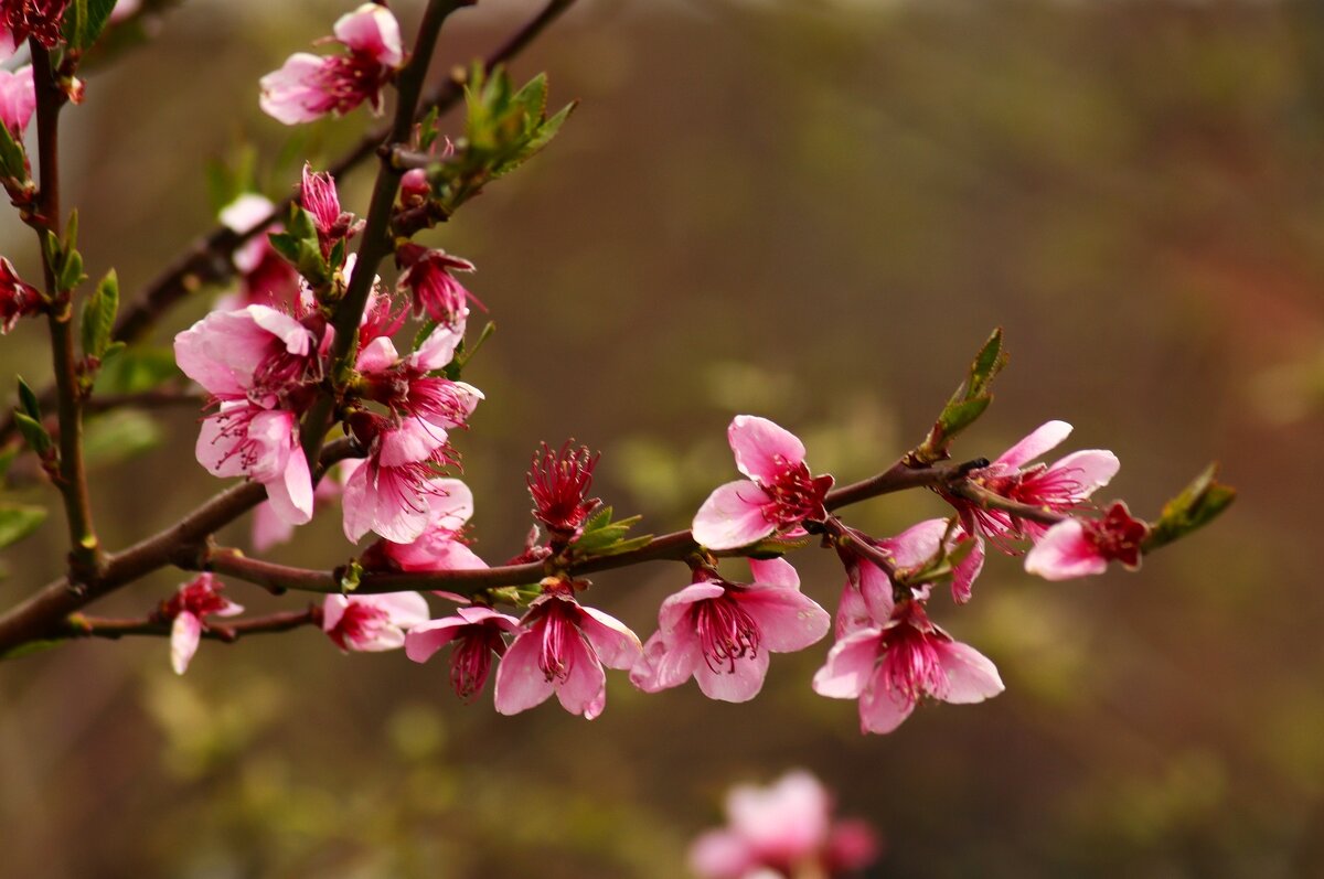 Доброе утро - Юрий. Шмаков