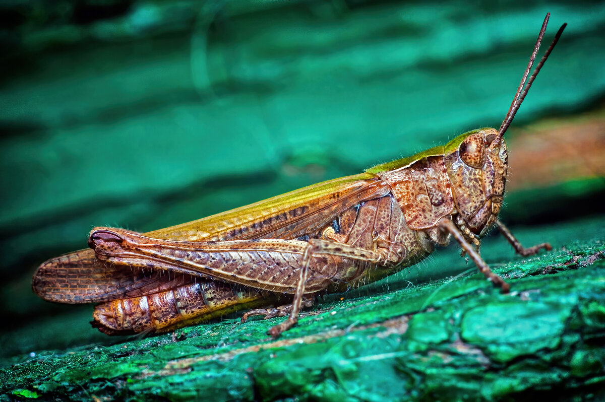 *   *   * - Уже не важно ...