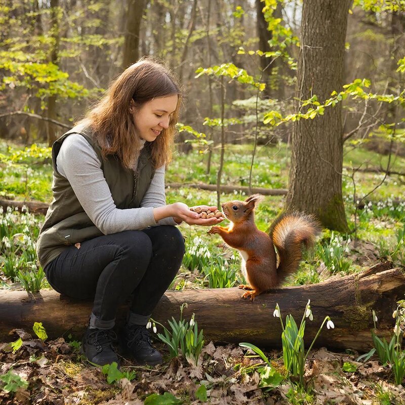 В весеннем лесу - Ольга В весеннем лесу - Ольга