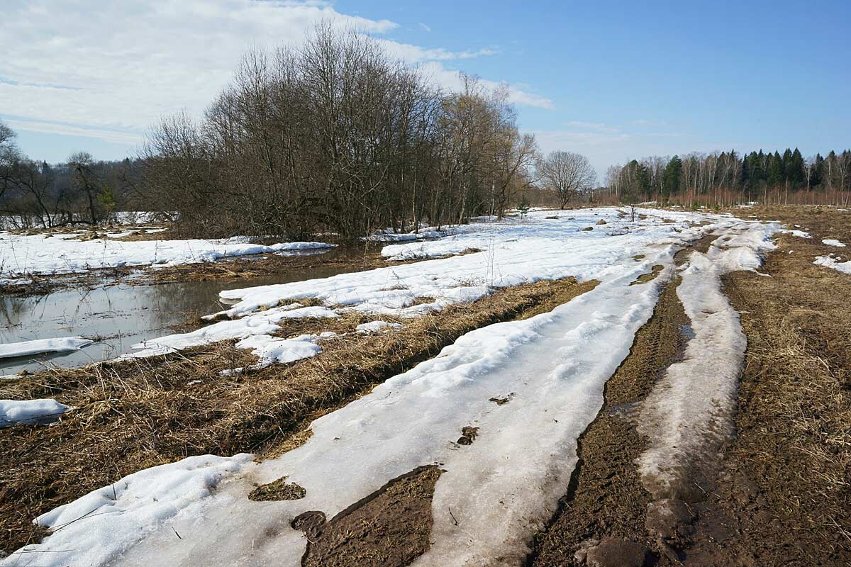 Последний снег в долине Протвы - Сергей Курников