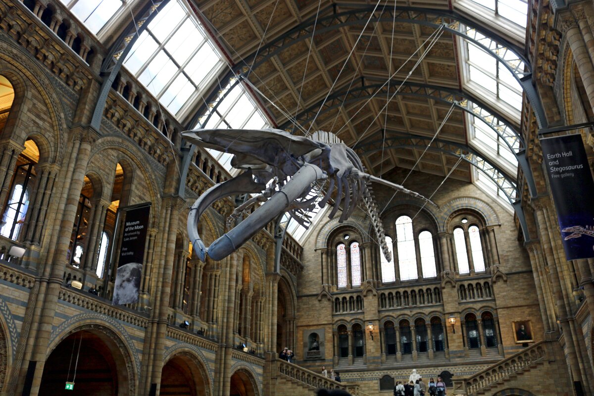 В музее естествознания - Ольга В музее естествознания - Ольга