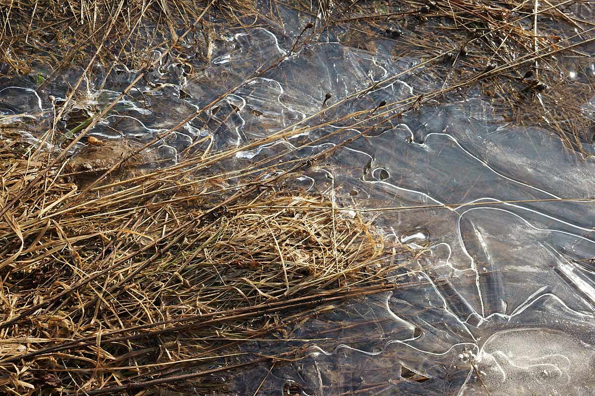 Весенний натюрморт - Сергей Курников Весенний натюрморт - Сергей Курников