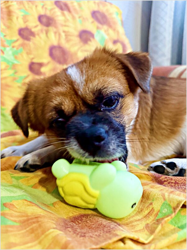 ******* - Валерия Комова ******* - Валерия Комова