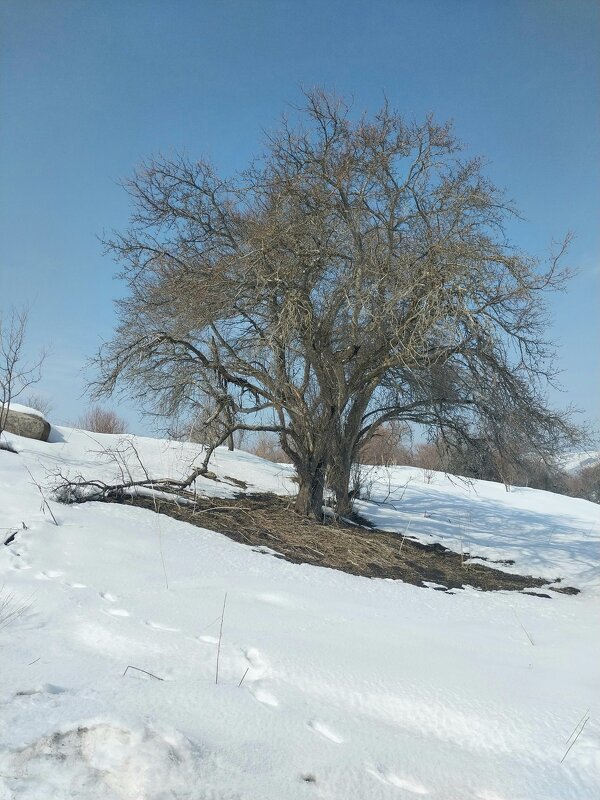 Ак Булак. Талгар. - Murat Bukaev Ак Булак. Талгар. - Murat Bukaev