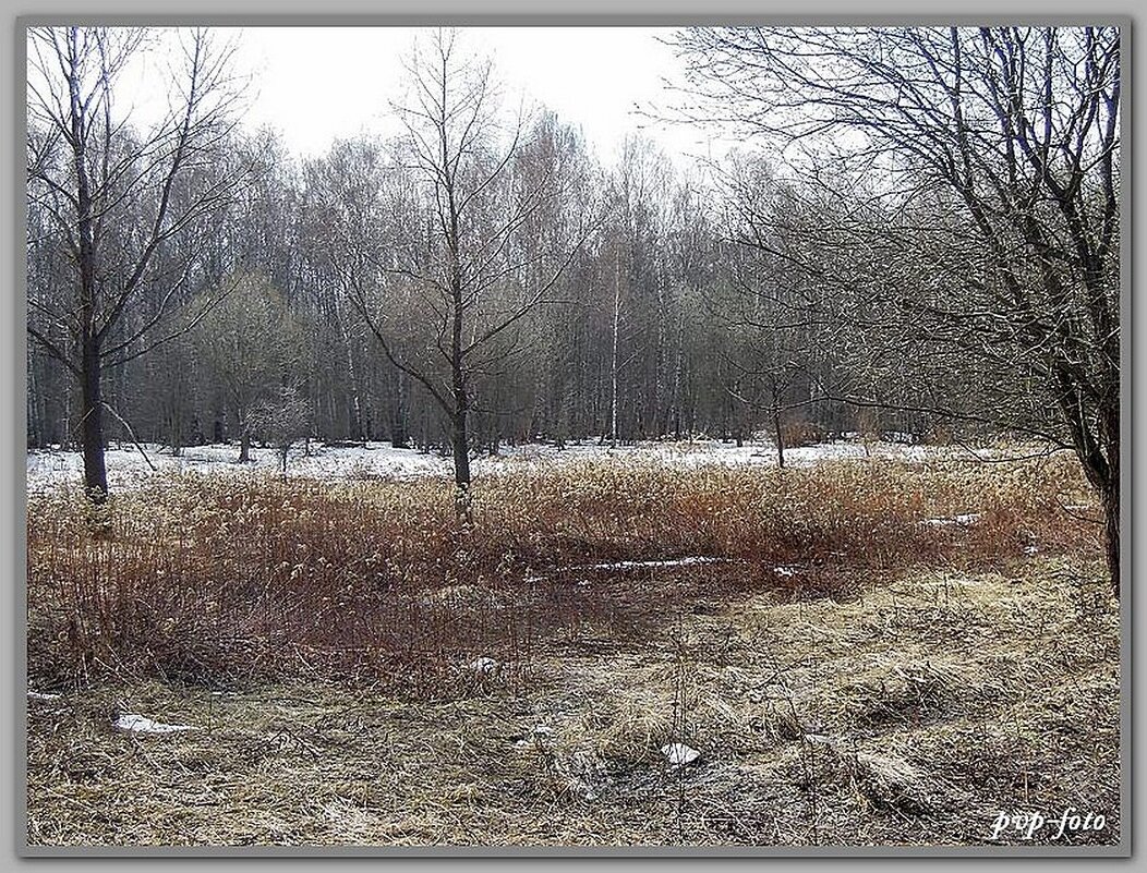 Весенне-снежный сюжет - Владимир Попов