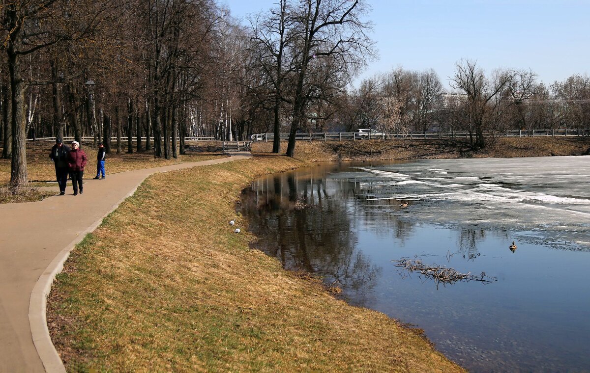 Весенний день - ZNatasha -