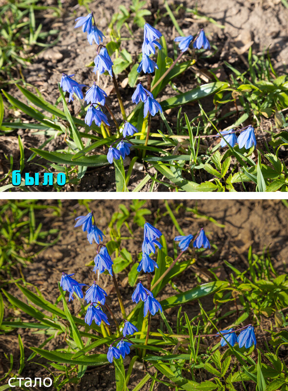 Обработка. - Борис Калитенко