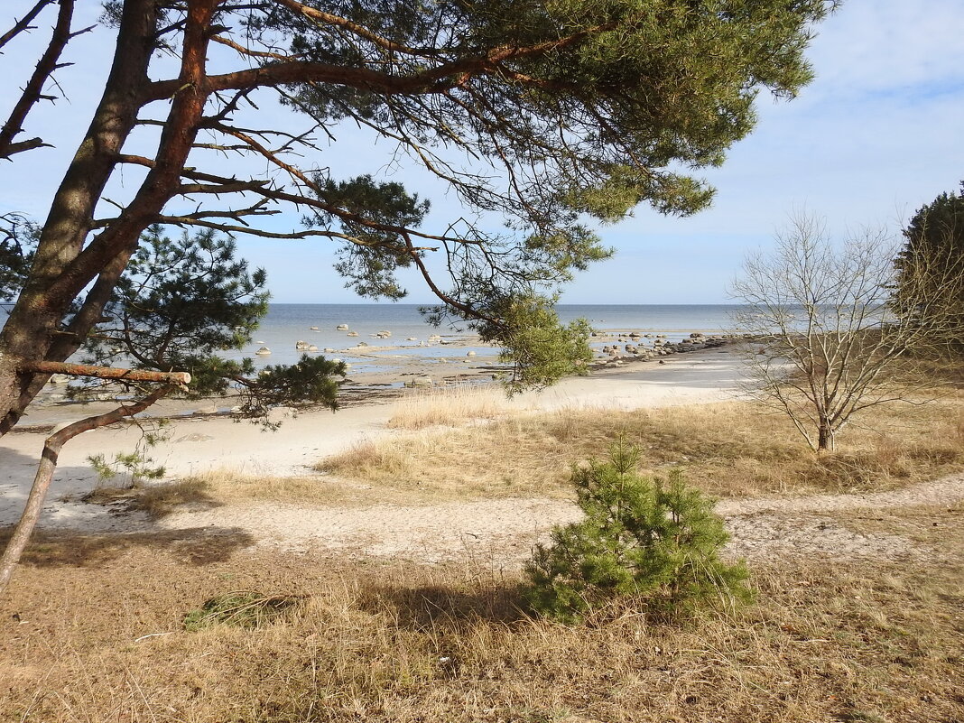 весна - ИННА ПОРОХОВА