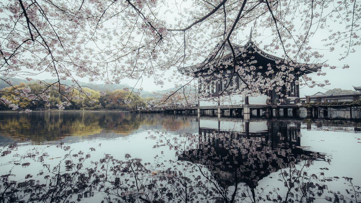 Отражение - Дмитрий 