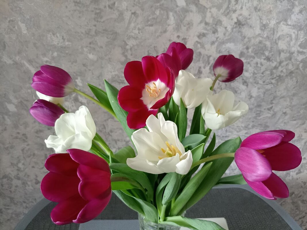 Весна, цветы! - Надежда Весна, цветы! - Надежда