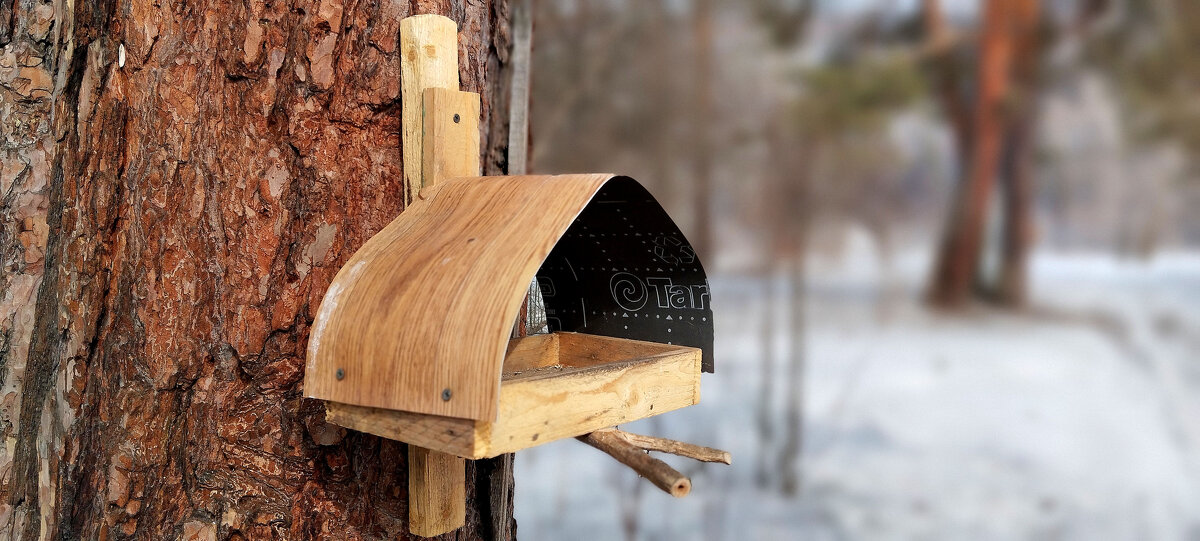 Кормушка - Радмир Арсеньев